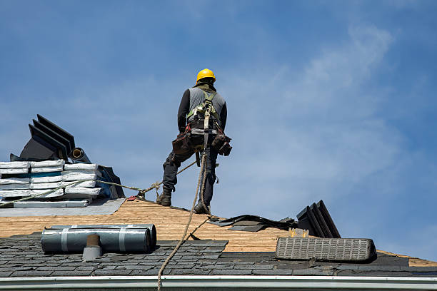 Professional Gutter Installation technician working in Dana, IL